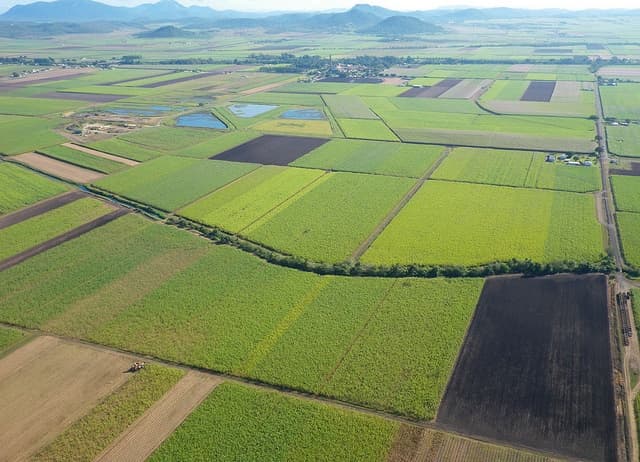 Panvel Greens Land Parcel — aerial view of the sanctioned layout